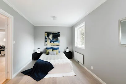 Pro-Maler Entreprenør AS